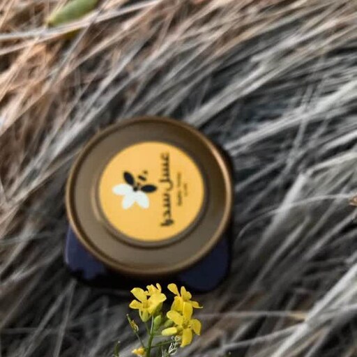 عسل سدرا - عسل طبیعی کنار - ساکارز 2 - عسل بهاره و پاییزه امسال - نیم کیلویی