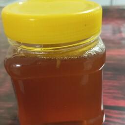 عسل طبیعی محصول زنبورداری شناس بسیارمقوی ودارای ارزش غذایی بالابدون موادنگهدارنده