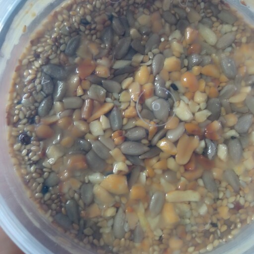 معجون مایع(کره بادام زمینی،شیره انگور،کنجدسیاه و سفید،تخمه آفتابگردان،مغز  بادام درختی،گردو) 280گرمی