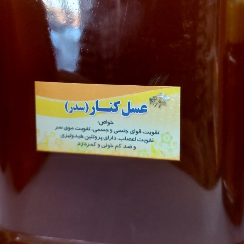 عسل طبیعی کنار  (1کیلویی)