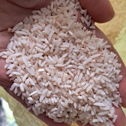 برنج لاشه هاشمی  10 کیلویی