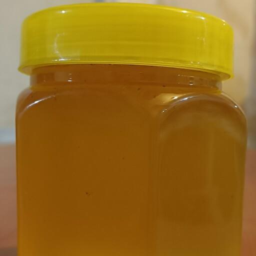 عسل طبیعی گون با کیفیت بالا و تضمینی نیم کیلویی