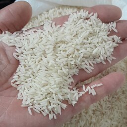 برنج هاشمی درجه یک آستانه اشرفیه