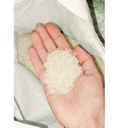 برنج معطر طارم هاشمی با تضمین پخت و کیفیت از بهترین شالیزارهای فریدونکنار 10کیلویی