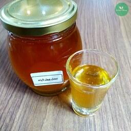عسل چهل گیاه ییلاق اشکورات  (500 گرمی ) تضمین کیفیت و امکان مرجوعی