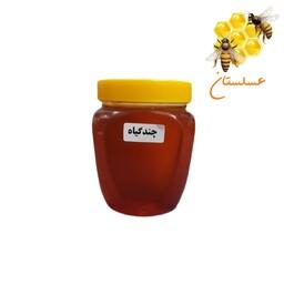 عسل چندگیاه درجه یک یک کیلویی رنگ عقیقی عسلستان قم