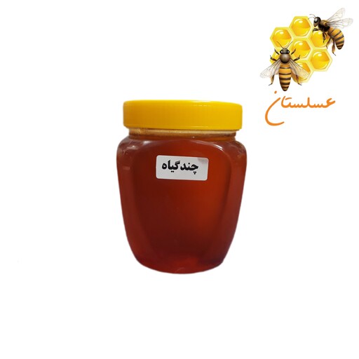 عسل چندگیاه درجه یک یک کیلویی رنگ عقیقی عسلستان قم
