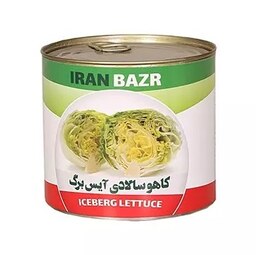 بذر کاهو استاندارد آیس برگ 200 گرمی ایران بذر