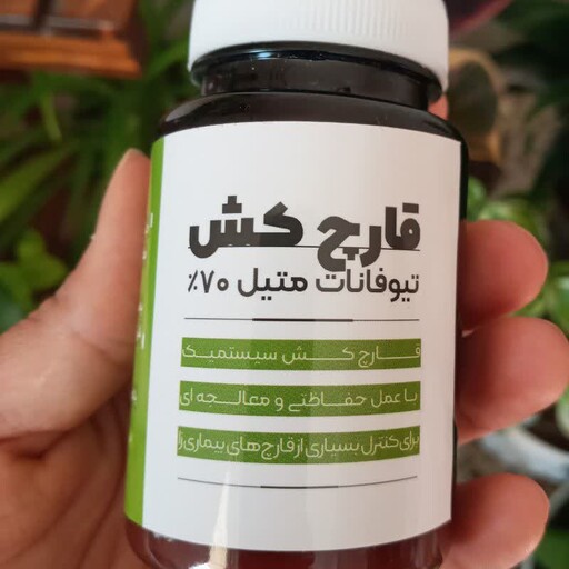 قارچکش تیوفانات