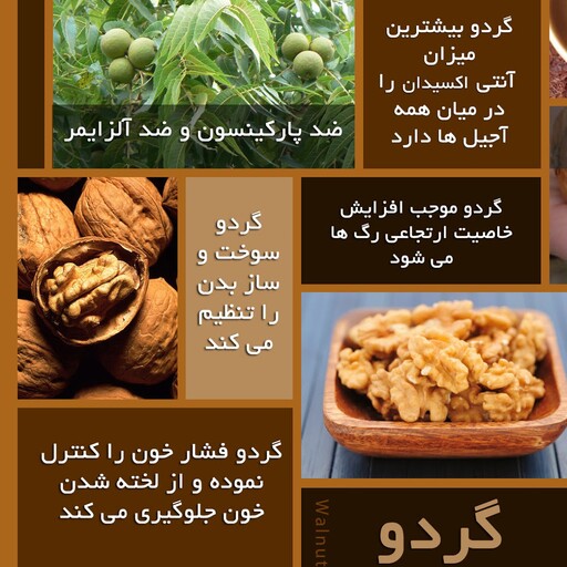 گردو خراسان جنوبی 