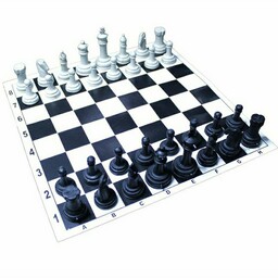 بازی شطرنج تعداد هشت بسته به قیمت مناسب همه با هم ارسال میشود