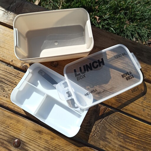 ظرف غذا دو طبقه ظرف نگهدارنده غذا لانچ باکس به همراه قاشق