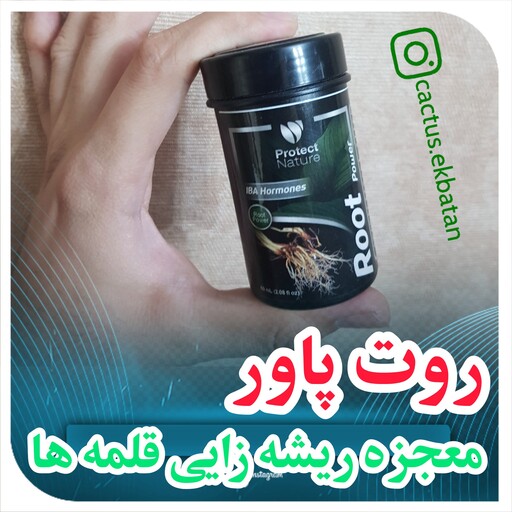 هورمون ریشه زایی پودری جهت ریشه زایی قلمه های جدید