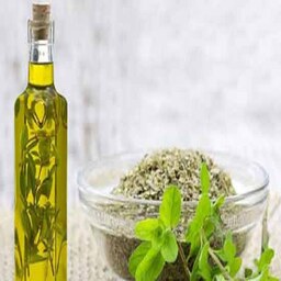 روغن گیاه مرزنجوش سنتی 60 سی سی 