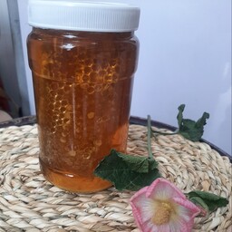 عسل یک کیلوگرمی گون با موم طبیعی 