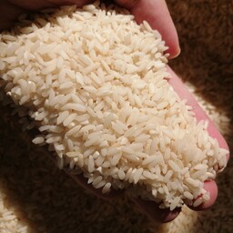 برنج لنجان 10 کیلویی