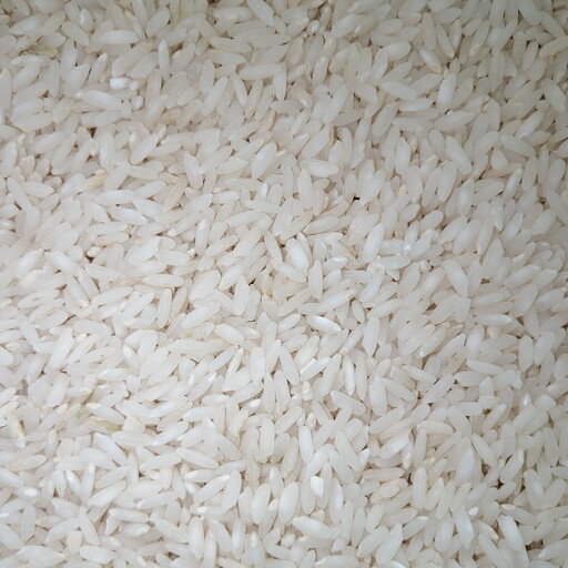 برنج لنجان با خورده برنج