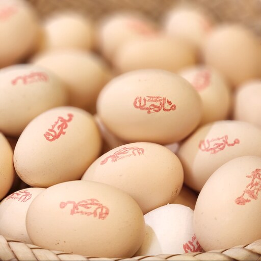 تخم مرغ محلی دو زرده مارجان بسته 15 عددی