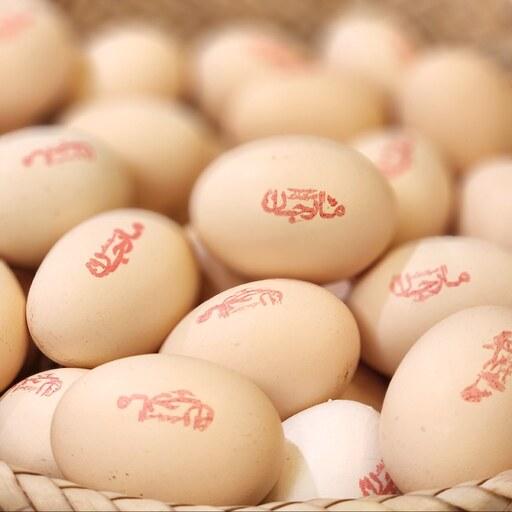 تخم مرغ محلی تک زرده مارجان بسته 10 عددی