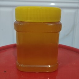 عسل بهارنارنج درجه یک نیم کیلویی فروشگاه دهکده از باغ های مرکبات مازندران بدون افزودنی 
