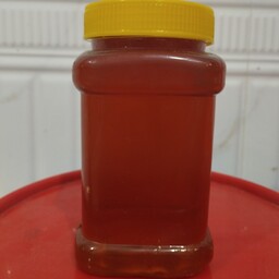 عسل کنار  یک کیلویی درجه یک بدون افزودنی خالص از فروشگاه دهکده