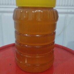 عسل بهارنارنج یک کیلویی درجه یک بدون هیچ افزودنی فروشگاه دهکده از باغات مرکبات مازندران صددرصد طبیعی 