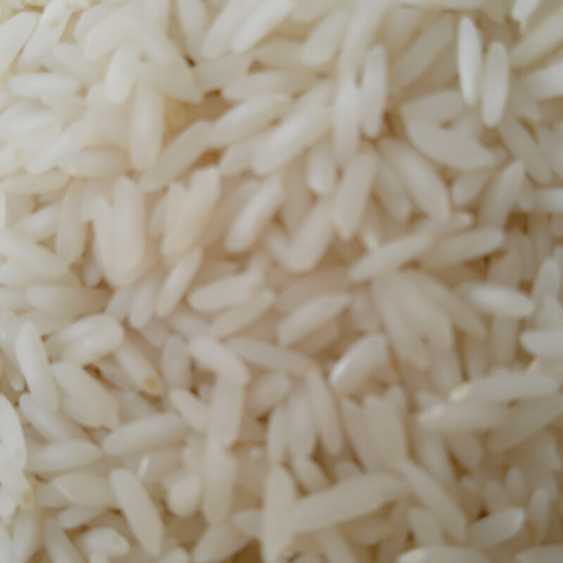 برنج امرالهی کشت دوم فوق معطر10 کیلویی