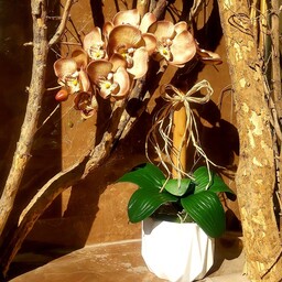 گل ارکیده مصنوعی با گلدان در ارتفاع 50 سانتیمتر(عالیجناب)