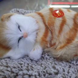 گربه خوابیده صدا دار کوچک ،رنگ زرد ،سفید 
