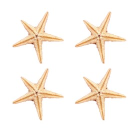 ستاره دریایی مخصوص رزین اپوکسی بسته 4 عددی(2تا3 سانتی)