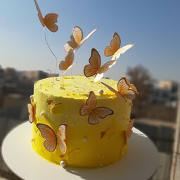 کیک تولد کیک زنانه مدل پروانه ای