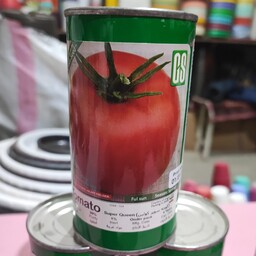 بذر گوجه سوپر کوئین  آمریکایی صدگرمی 