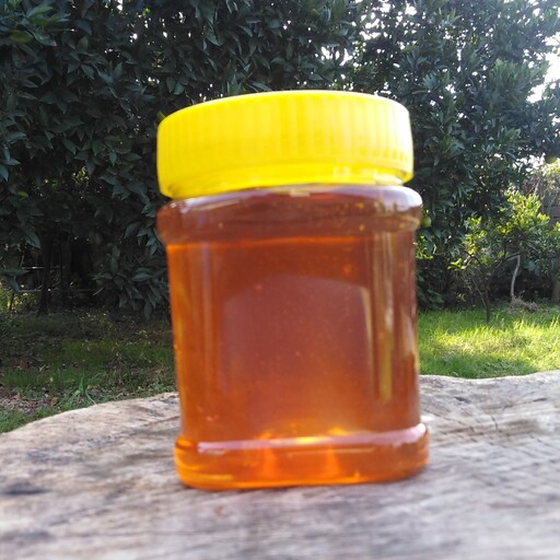 عسل جنگلی نیم کیلویی ساکارز 2 مناسب افراد دیابتی و عسل درمانی 