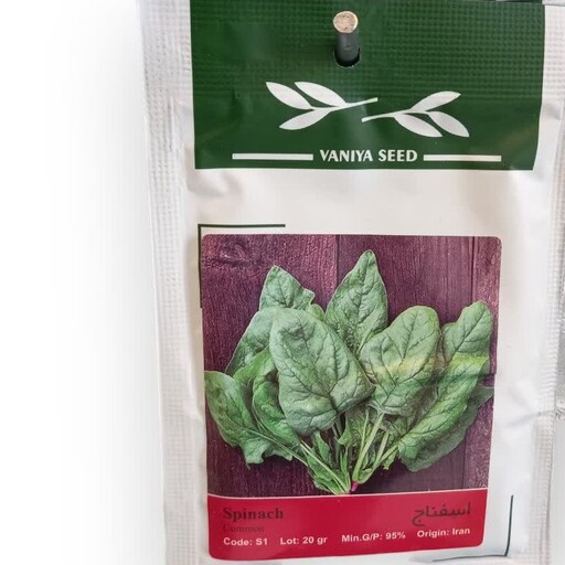 بذر سبزی اسفناج پاکتی اصلاح شده 