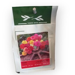 بذر گل آهار پاکوتاه الوان پاکت کوچک  مناسب برای یک متر مربع