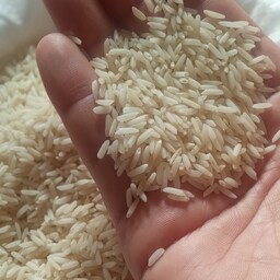 برنج  هاشمی   درجه  1 استان گیلان با پخت عالی و کم نظیر