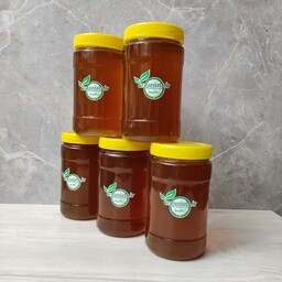 عسل طبیعی گون درجه یک مستقیم از کندو دار یک کیلویی بدون موم 