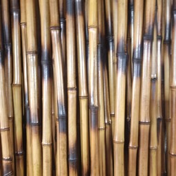 پک اماده 7تایی  چوب بامبو  (4 ستاره) نی بامبو