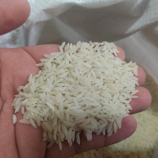 برنج فریدونکنار  رضا سورت شده بشرط پخت 