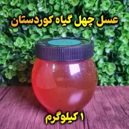 عسل چهل گیاه کوردستان 