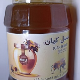 عسل طبیعی چهل گیاه کیان، امساله، بدون تغذیه زنبور  از شکر، یک کیلویی 