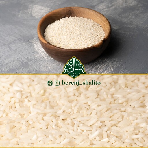 برنج سرلاشه طارم هاشمی امساله اعلا 10 کیلوگرمی 