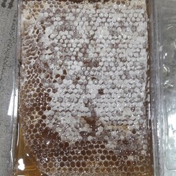 عسل درجه یک خوانسار 1کیلویی با موم طبیعی 