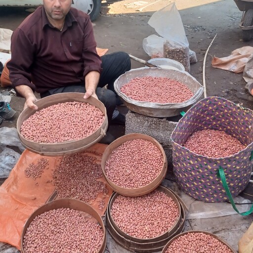 بادام زمینی محلی آستانه اشرفیه برشته روز درجه یک سالم بدون هیچ خرابی وبار یک دست درشت 20 کیلویی ارسال با اتوبوس پسکرایه 