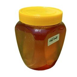 عسل طبیعی چند گیاه (1 کیلویی) 