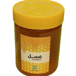 عسل کوهستان(یک کیلویی باظرف) 