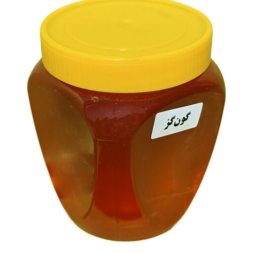 عسل طبیعی گون گز ( 1 کیلویی) 