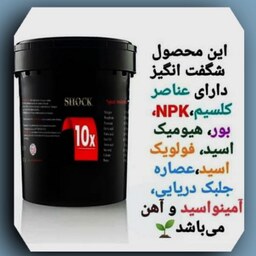 کود کامل ده ایکس شوک آمریکا بیست لیتری