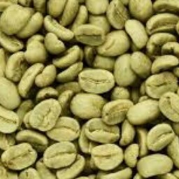قهوه سبز اوگاندا 60 کیلوگرمی پس کرایه