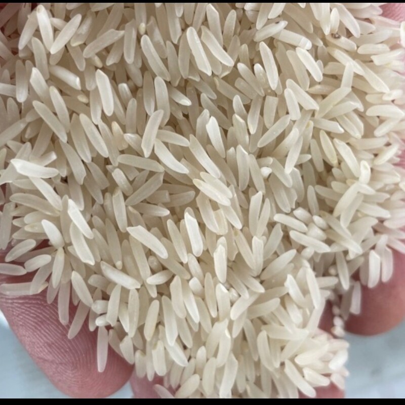 برنج فجرمعطرگرگان خوش پخت و مجلسی کشت اول 10 کیلویی(ارسال رایگان)